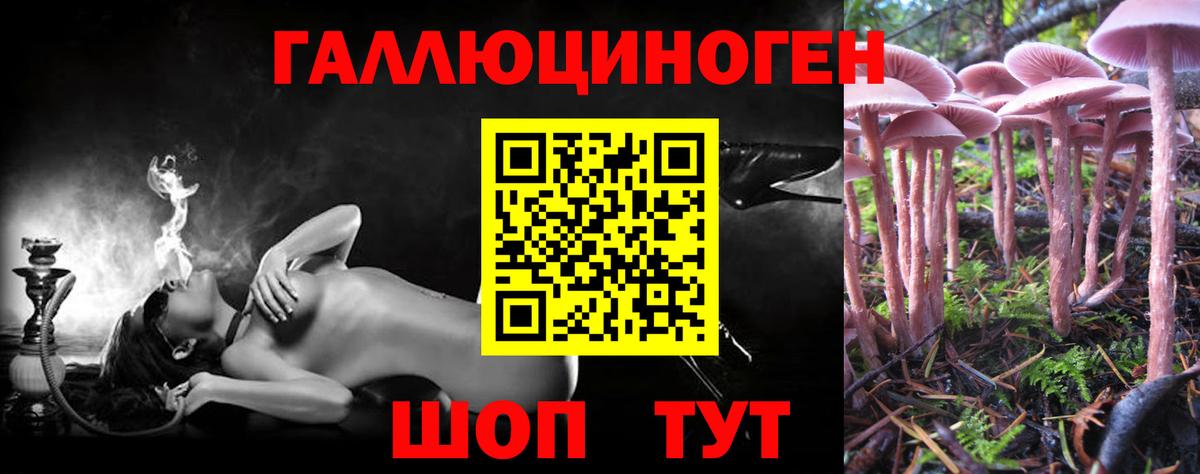 Псилоцибиновые грибы прущие грибы Псков