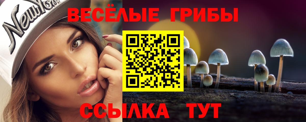 Галлюциногенные грибы Magic Shrooms  Псилоцибиновые грибы Cubensis  Вход с VPN  Псков 